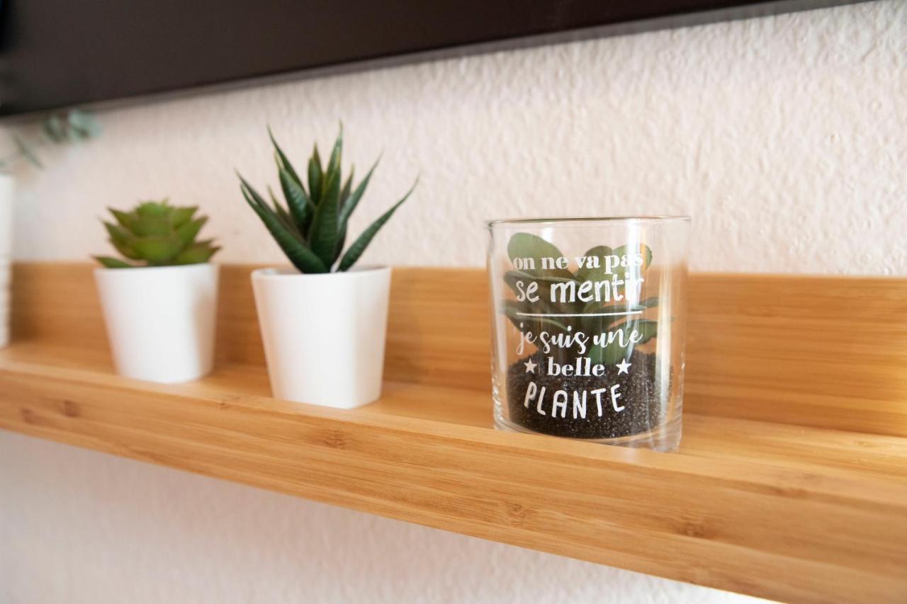 Green Appart Le Chene Rouge Avec Jardin Prive Apartman Mulhouse Kültér fotó