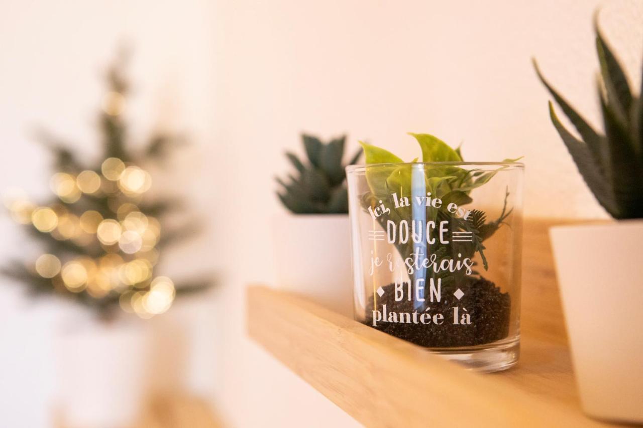 Green Appart Le Chene Rouge Avec Jardin Prive Apartman Mulhouse Kültér fotó